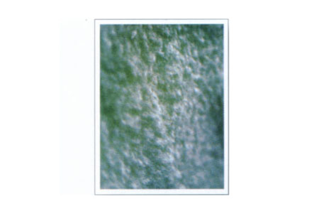  165cm 340g/m<sup>2</sup>