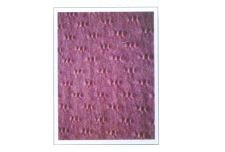 Ứ沼 160cm 170g/m<sup>2</sup>
