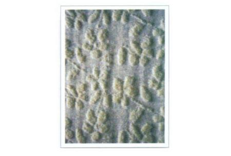 Ứë 160cm 200g/m<sup>2</sup>